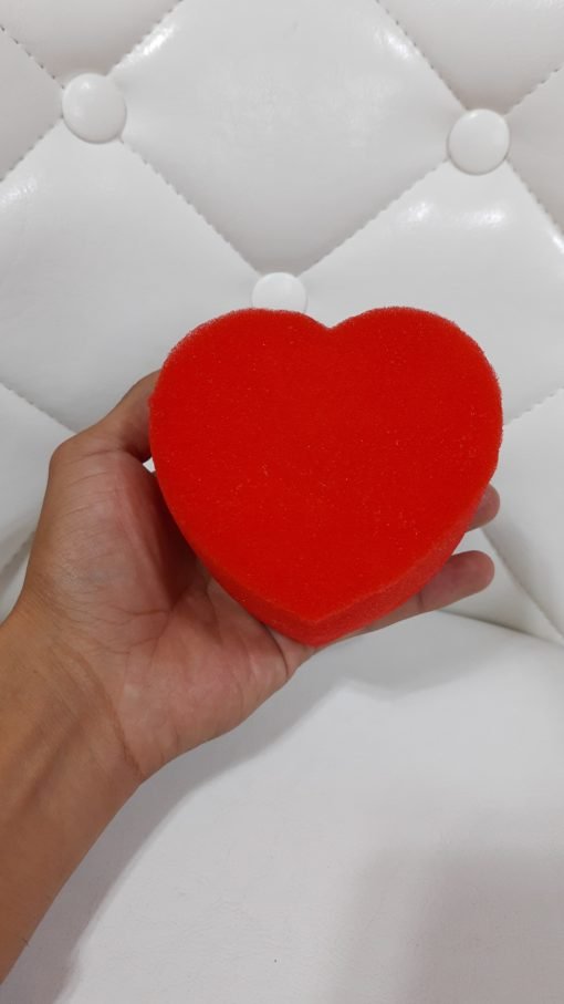 Corazones de Esponja - ¡La magia más encantadora!