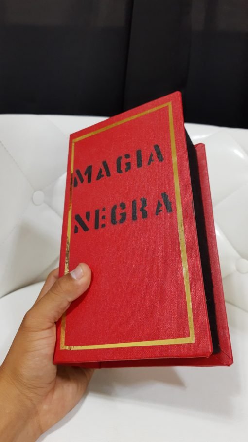 Libro de fuego y Aparicio paloma 🔥🔥 Magia de Escenario - Imagen 3