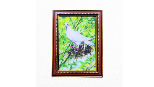 🖼️✨ Cuadro Paloma – Magia con arte y una sorpresa voladora 🕊️ - Imagen 2