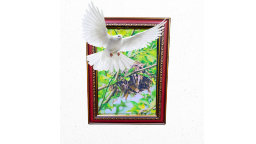 🖼️✨ Cuadro Paloma – Magia con arte y una sorpresa voladora 🕊️