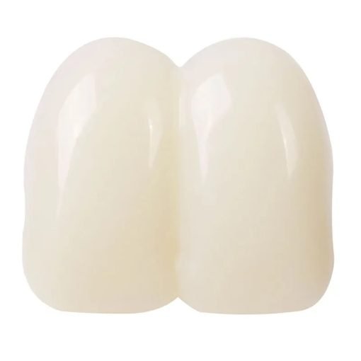 Dientes Postizos tipo Conejo - Imagen 3