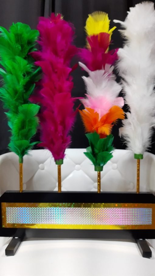 🪄 Plumeros Mágicos WOW – ¡Cambian de color como por arte de magia! 🎨✨ - Imagen 2