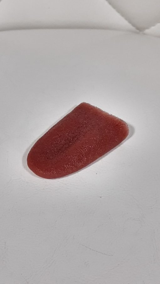 Lengua fakir Magia callejera