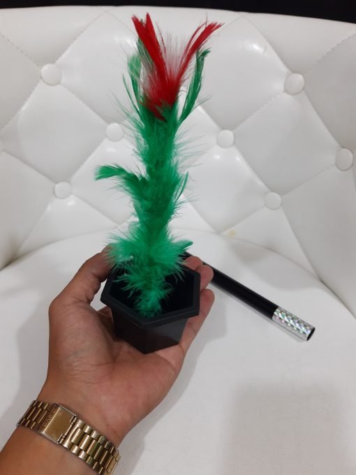 Varita Maceta - ¡Flores mágicas al instante! - Imagen 2