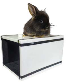 Alternative view of Caja 45 – Apariciones mágicas que desafían la lógica