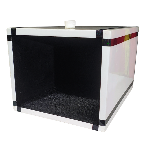 Caja 45 – Apariciones mágicas que desafían la lógica - Imagen 3