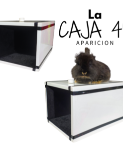 Caja 45 – Apariciones mágicas que desafían la lógica