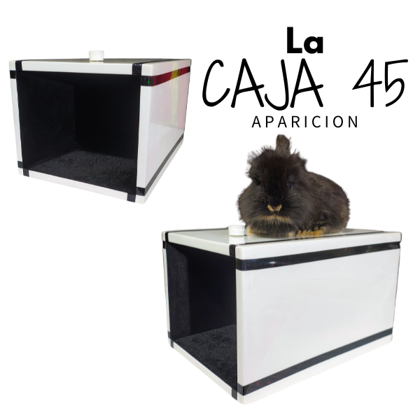 Caja 45 – Apariciones mágicas que desafían la lógica