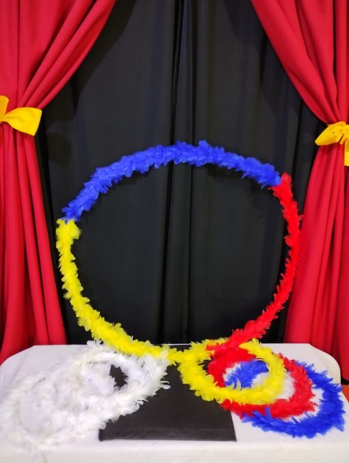 Aros de colores a Aro gigante - Imagen 3