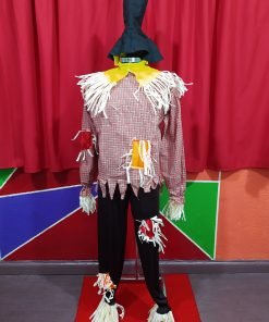 Disfraz de Espanta pajaros
