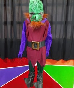 Disfraz de duende para niño