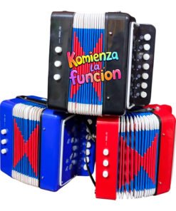 Acordeon chico Musical