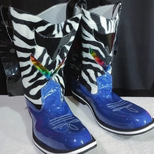 73 Zapatos para Payaso