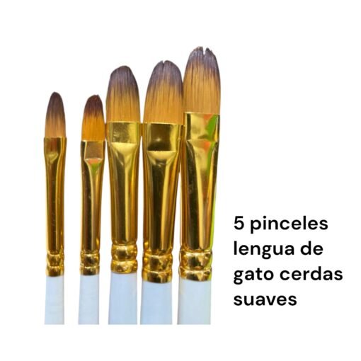 10-Kit Pincel Lengua de gato