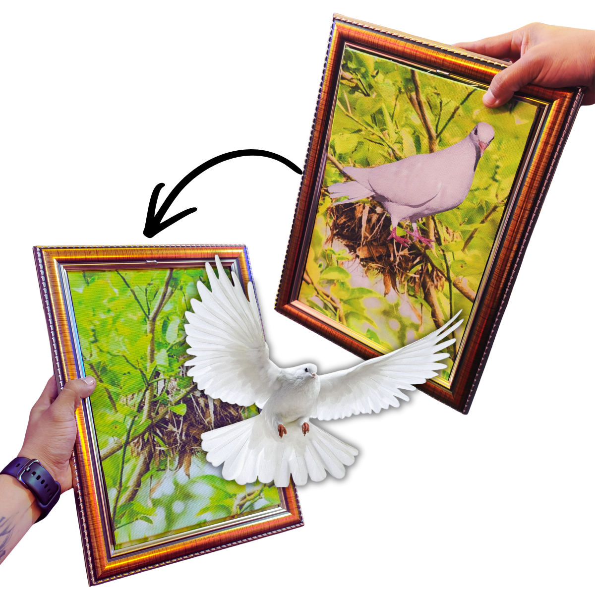 🖼️✨ Cuadro Paloma – Magia con arte y una sorpresa voladora 🕊️ - Imagen 3
