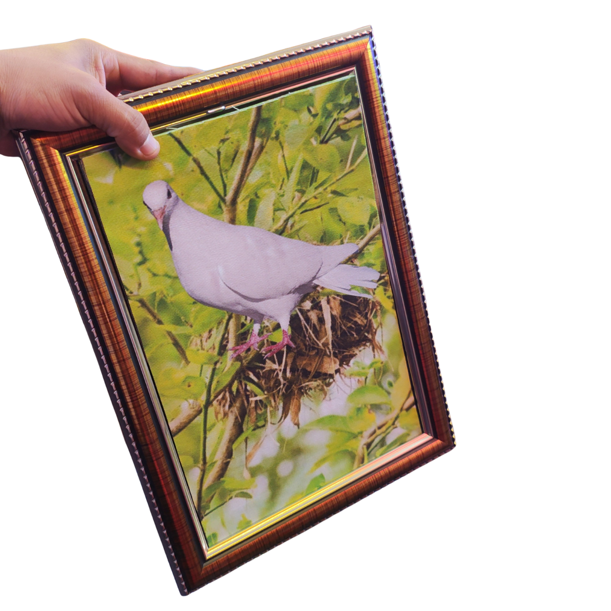 🖼️✨ Cuadro Paloma – Magia con arte y una sorpresa voladora 🕊️ - Imagen 5
