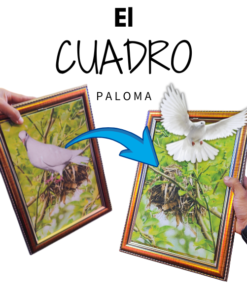 🖼️✨ Cuadro Paloma – Magia con arte y una sorpresa voladora 🕊️
