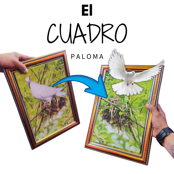 🖼️✨ Cuadro Paloma – Magia con arte y una sorpresa voladora 🕊️