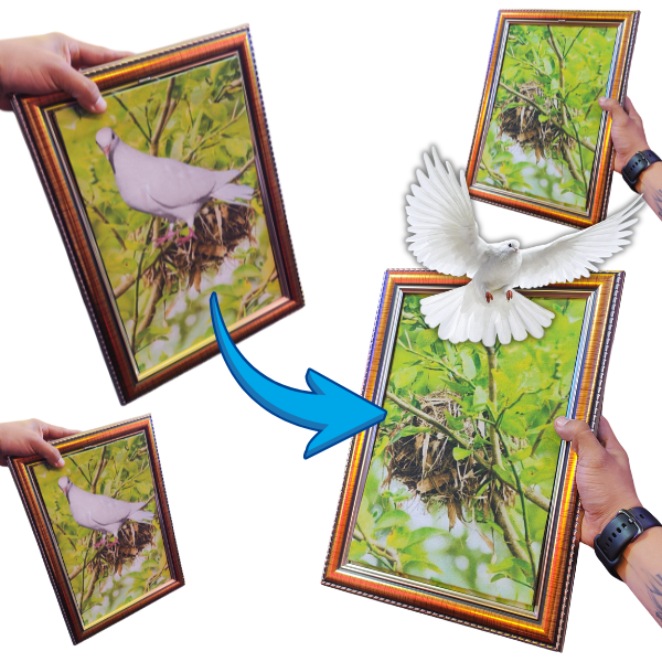 🖼️✨ Cuadro Paloma – Magia con arte y una sorpresa voladora 🕊️ - Imagen 2